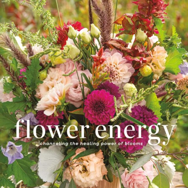 Flower Energy by Jenny Barker